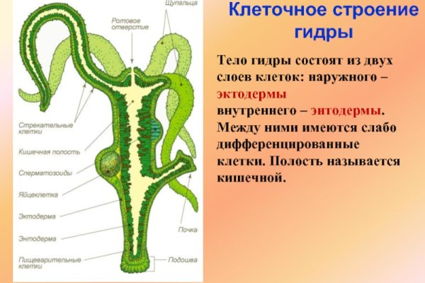 Кракен зеркало рабочее onion