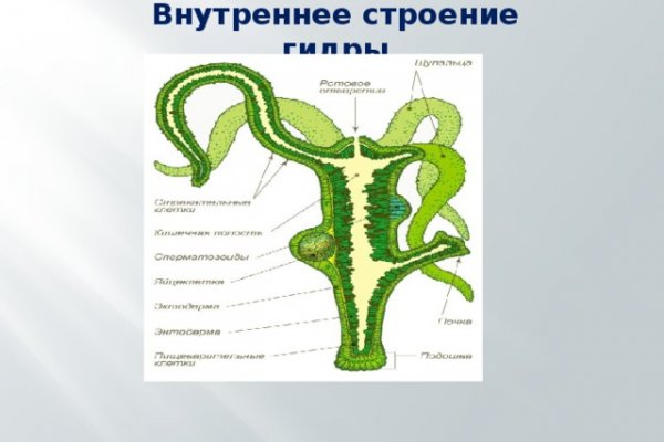 Кракен официальный сайт