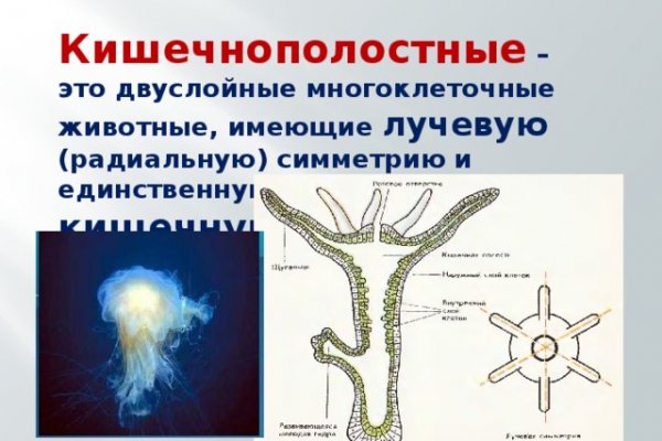 Кракен актуальная ссылка на сегодня